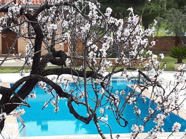 Mediterranean Garden Villa Vathí 外观 照片