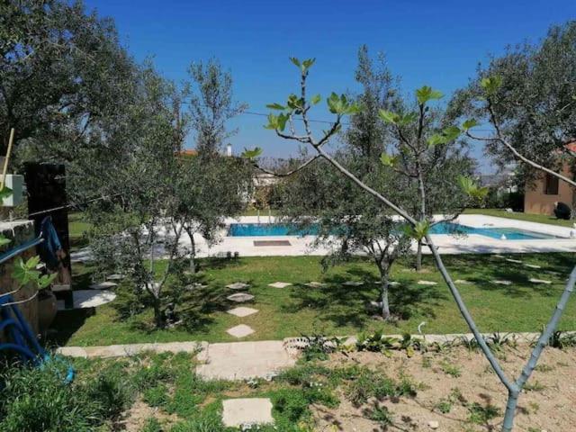 Mediterranean Garden Villa Vathí 外观 照片